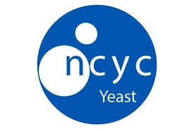 NCYC Logo