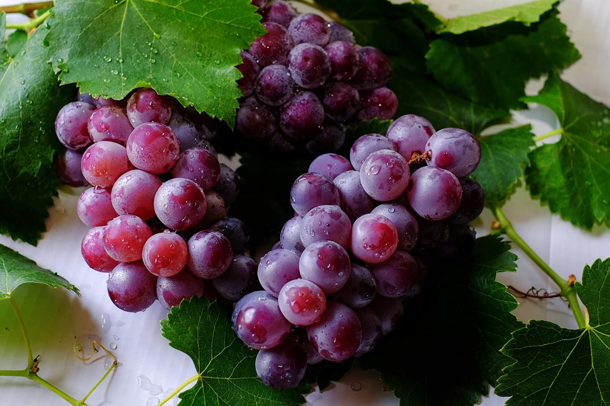Bunch Cluster Delicious
